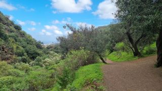 2024-01-GranCan-Barranco_de_los_Cernicalos-097.jpg